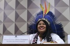 ministra-dos-povos-indigenas-defende-que-agu-mude-posicao-sobre-medida-que-reduziu-area-ambiental-para-construcao-da-ferrograo