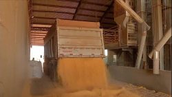 explosao-de-silo-no-parana-acende-alerta-para-prevencao-de-acidentes-em-armazens-de-graos