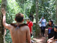 censo-do-ibge:-sao-paulo-e-a-10a-cidade-com-mais-indigenas-no-brasil;-veja-mapa-de-territorios-delimitados-na-capital