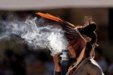 censo-do-ibge:-9-em-cada-10-cidades-do-brasil-tem-indigenas;-veja-mapa-e-consulte-sua-cidade