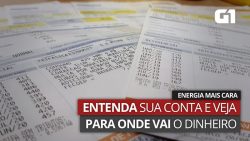 conta-de-luz-dos-brasileiros-deve-subir-5,5%-em-media-em-2024,-diz-aneel