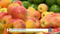 incentivo-a-alimentacao-saudavel-e-guia-para-politicas-e-compras-de-governo;-entenda-a-nova-cesta-basica